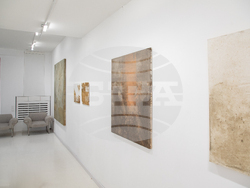 Кураторски тур с Снежана Кръстева представя изложбата „Циркулация“ на Андрис Еглитис. Снимка: Организаторите на събитието