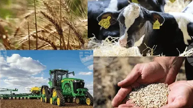 КАБАР: Правителството на Киргизстан отложи селскостопанското преброяване за следващата година 