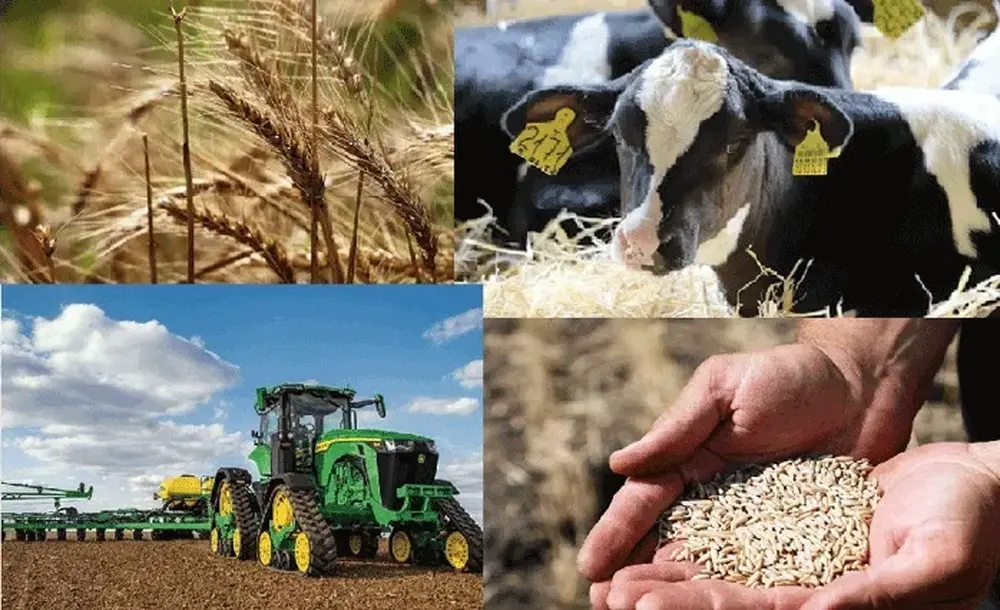 КАБАР: Правителството на Киргизстан отложи селскостопанското преброяване за следващата година 