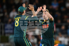 Australia India T20 Cricket