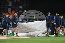 Australia India T20 Cricket