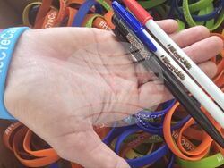 Снимка: НАП