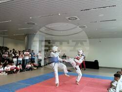 Снимка: НАП