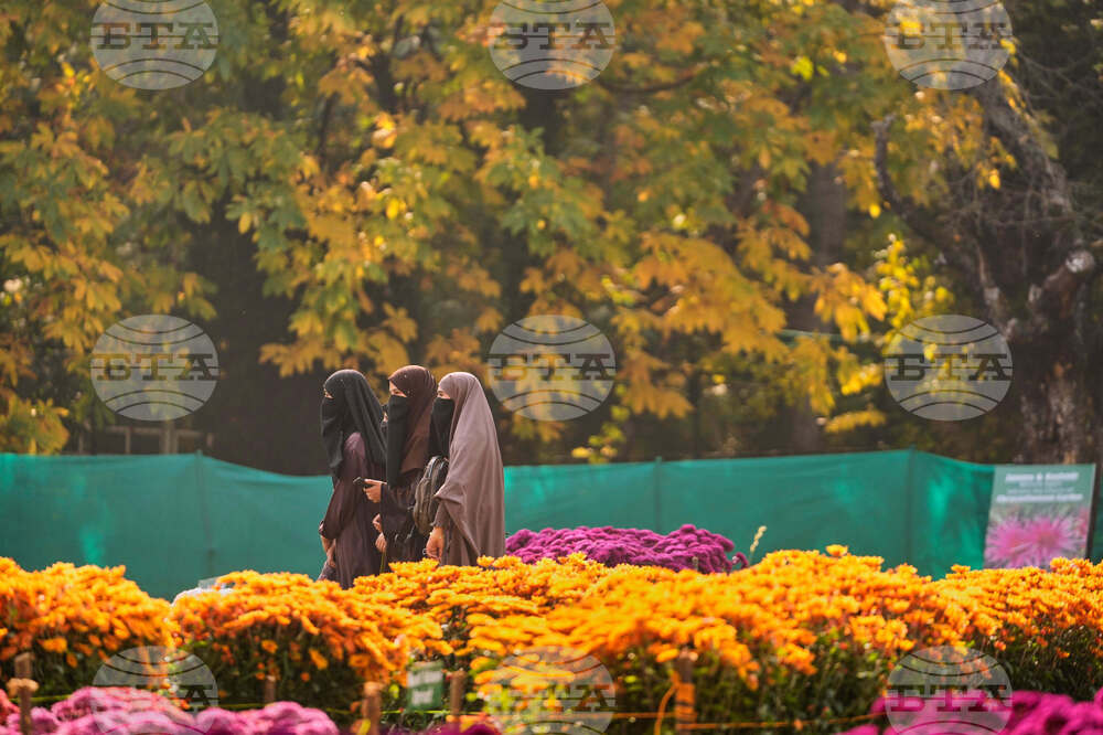 India Kashmir Daily Life