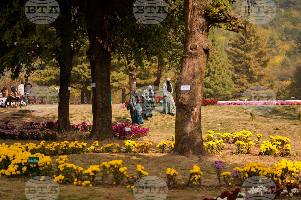 India Kashmir Daily Life