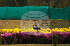 India Kashmir Daily Life