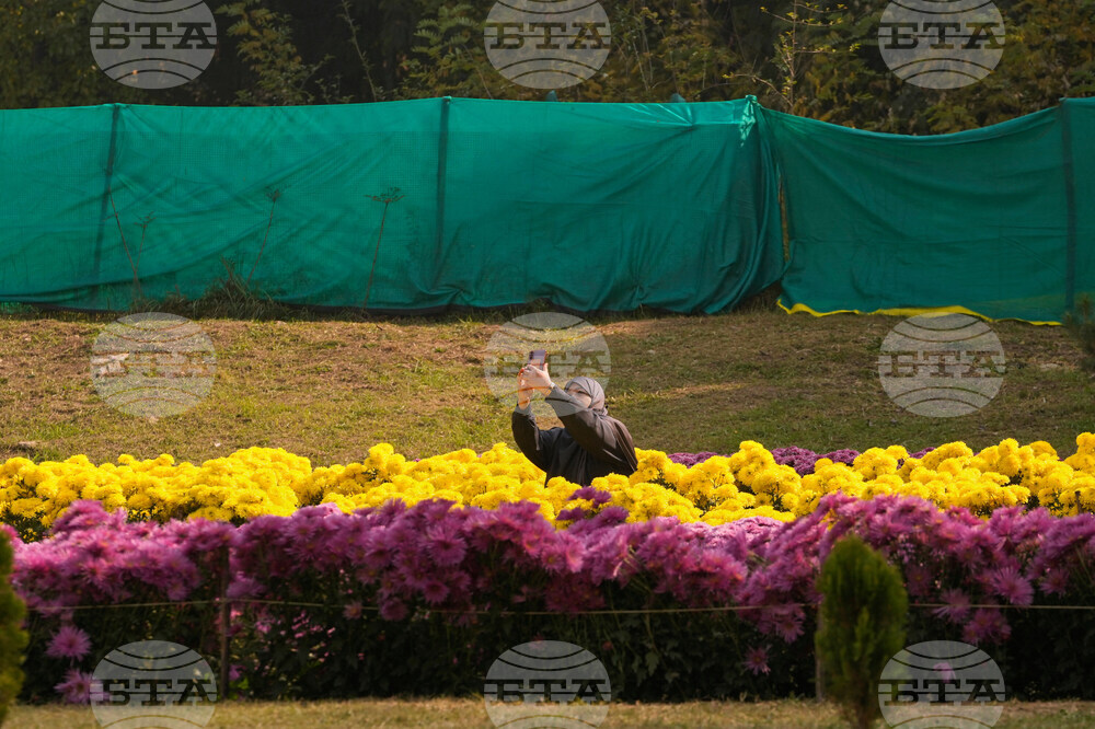 India Kashmir Daily Life