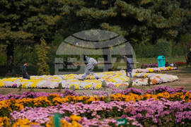 India Kashmir Daily Life