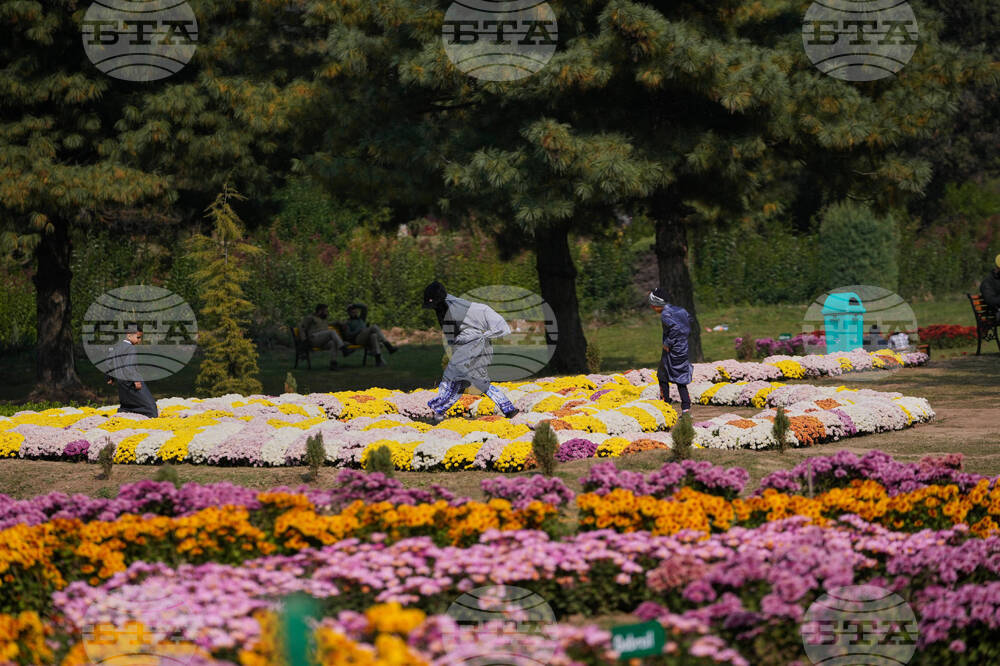 India Kashmir Daily Life