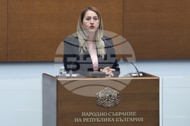 Парламент - заседание - Маргарита Махаева