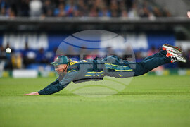 Australia India T20 Cricket