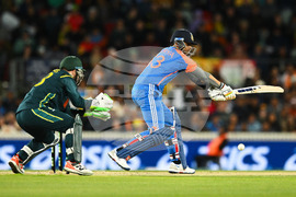 Australia India T20 Cricket