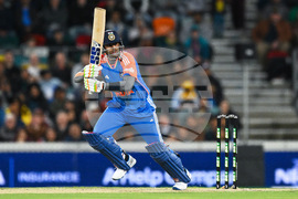 Australia India T20 Cricket