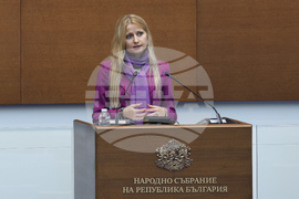 Парламент - заседание