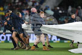 Australia India T20 Cricket