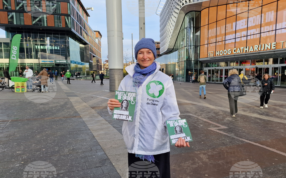 Нидерландия - предсрочни парламентарни избори