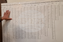 Нидерландия - предсрочни парламентарни избори