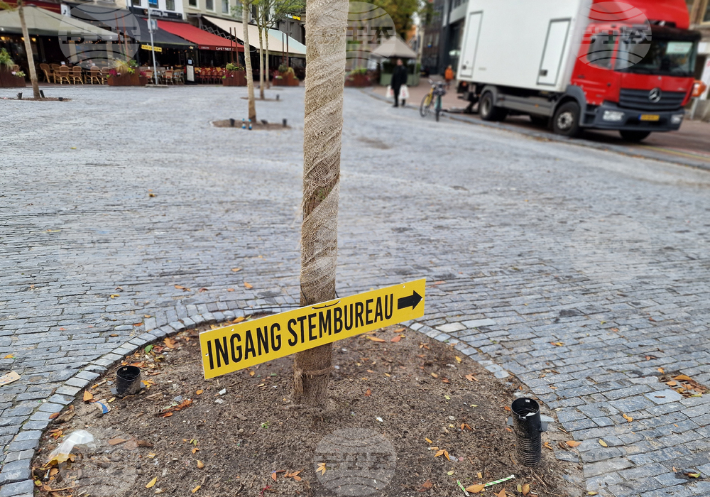 Нидерландия - предсрочни парламентарни избори