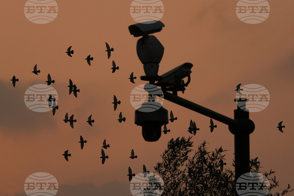 China US Digital Cage Photo Gallery