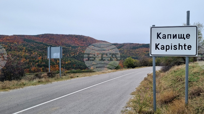 При полицейска проверка в антоновското село Капище в багажник на автомобил е открит убит сръндак