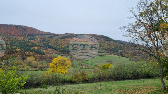 Прогноза за времето 