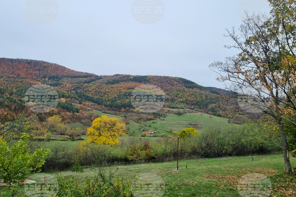 Прогноза за времето 