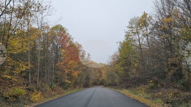 Възстановено е движението по пътя Асеновград – Смолян, в участъка между Хвойна и Нареченски бани