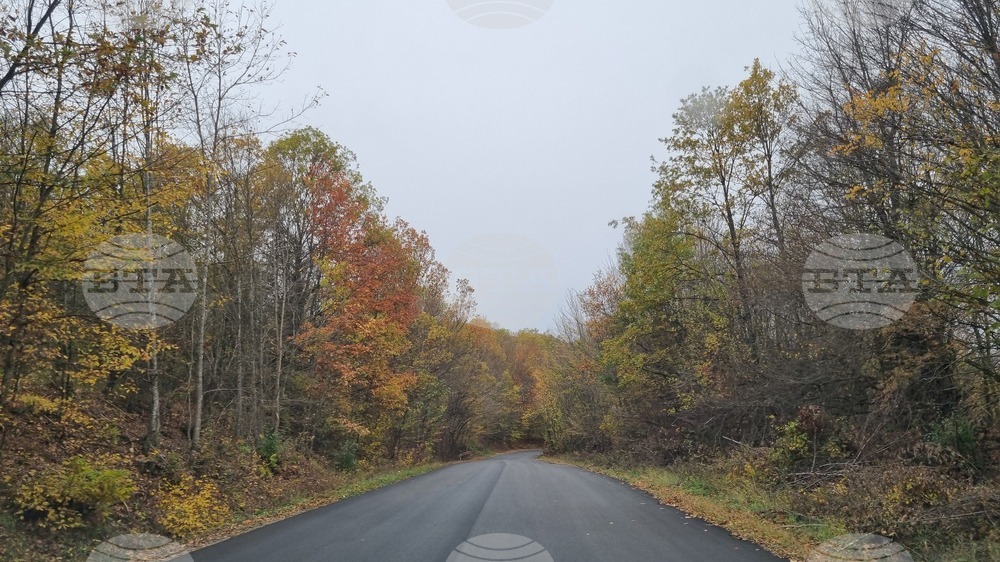 Възстановено е движението по пътя Асеновград – Смолян, в участъка между Хвойна и Нареченски бани