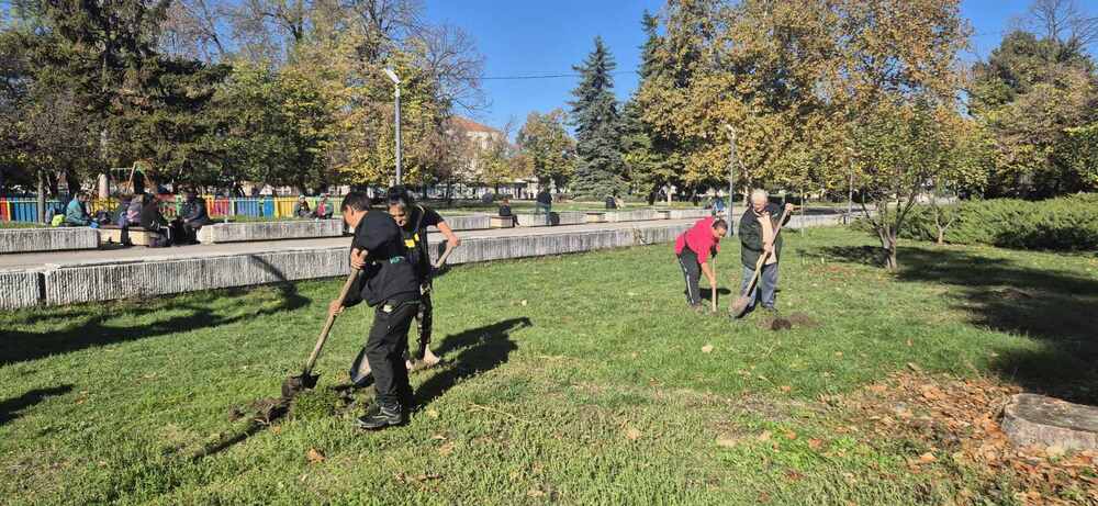 Над 150 дървета от различни видове ще бъдат залесени в Търговище тази есен