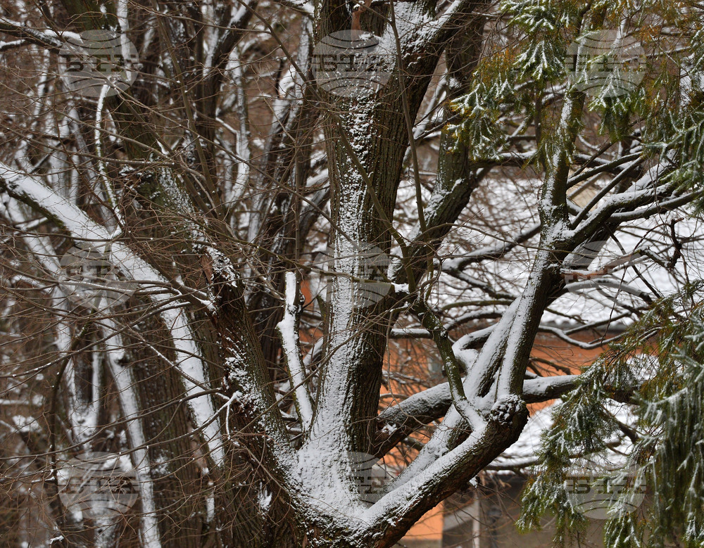 Исперих - зима