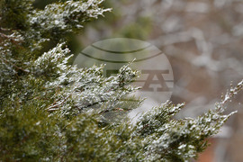 Исперих - зима