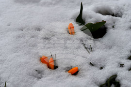 Исперих - зима