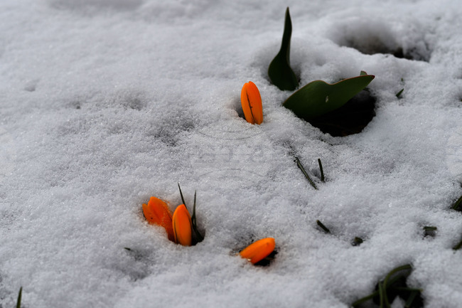 Season's First Snow Falls in Romania's Southern Carpathians