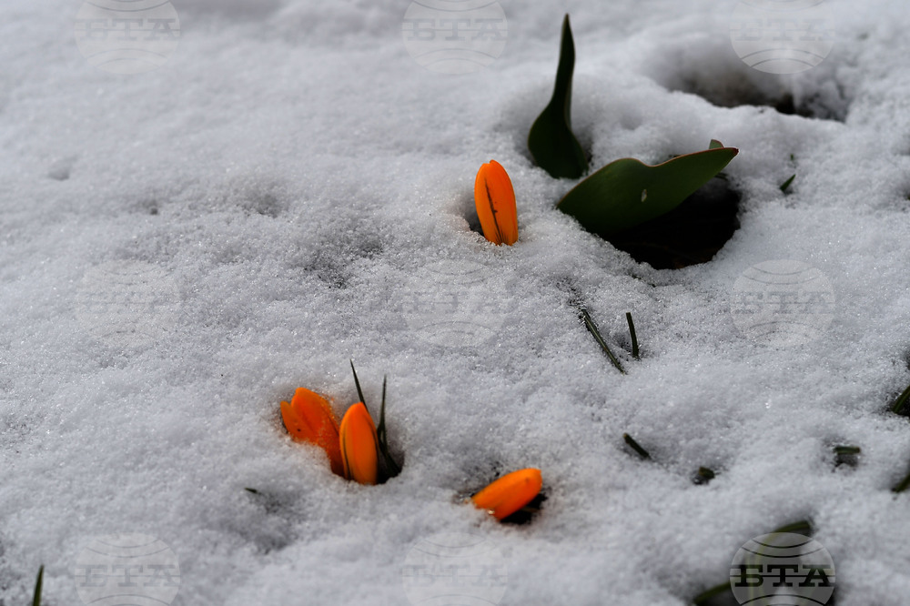 Исперих - зима