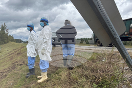 Mississippi Monkey Escape