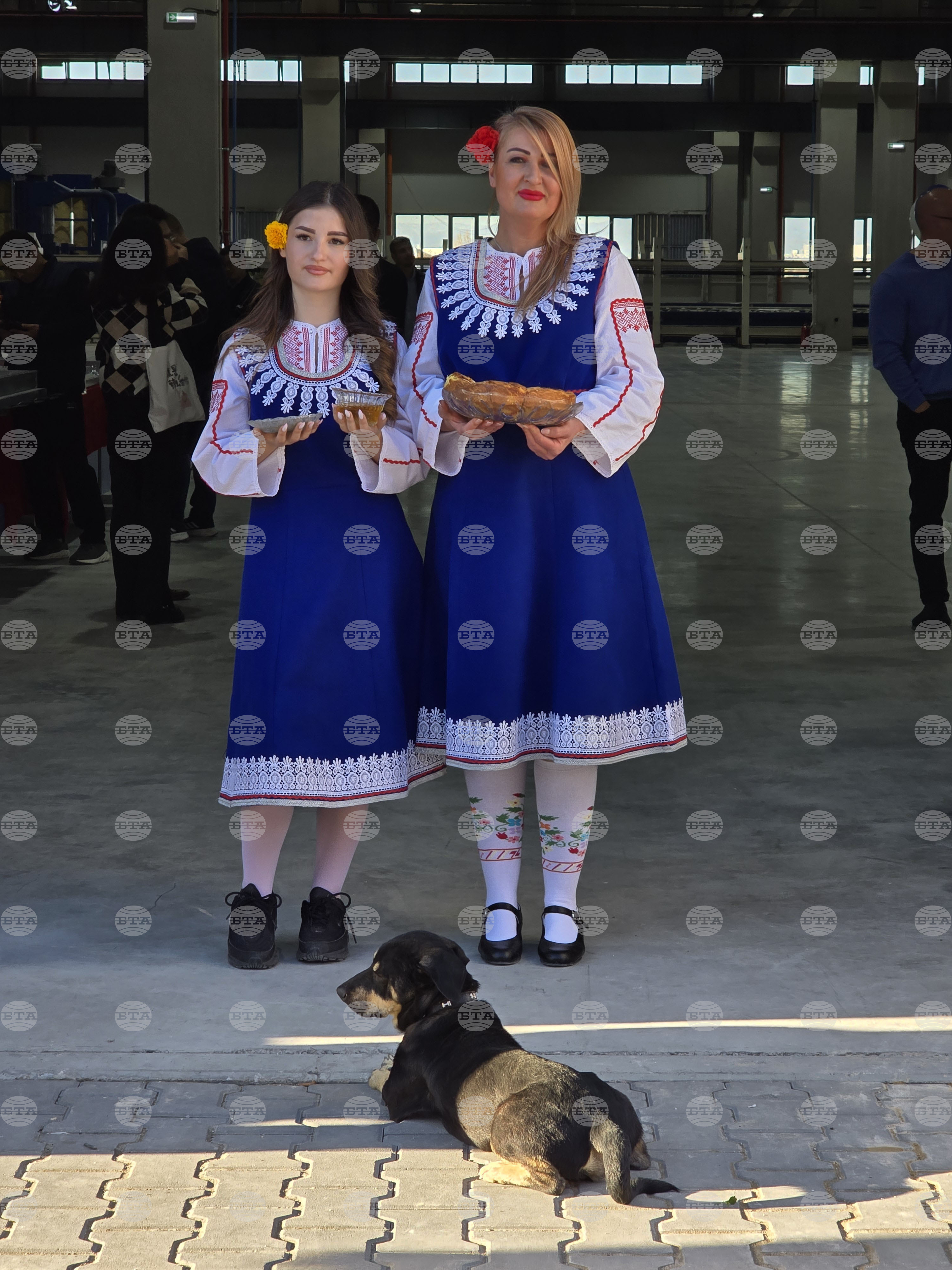 Село Радиново - завод за автомобилни части „Шанхай Юнисон алуминиеви продукти“