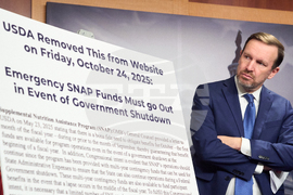 Government Shutdown SNAP