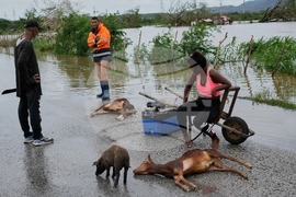 Cuba Extreme Weather