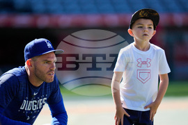 World Series Freeman Missed Home Run Baseball