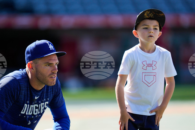 World Series Freeman Missed Home Run Baseball