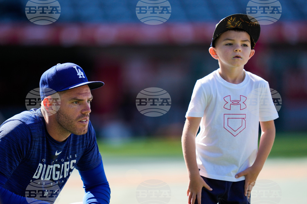 World Series Freeman Missed Home Run Baseball
