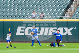 World Series Freeman Missed Home Run Baseball