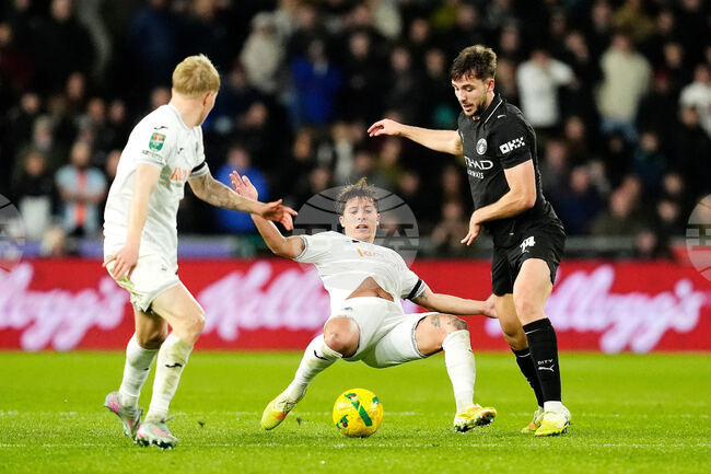 Суонси Сити се разделя с мениджъра си Алън Шиън след разочароващ старт в английския Чемпиъншип