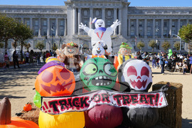 San Francisco Pumpkin Patch