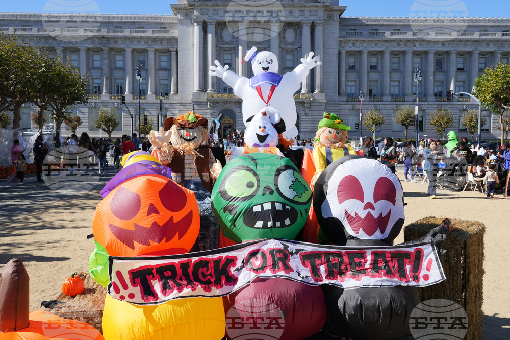 San Francisco Pumpkin Patch