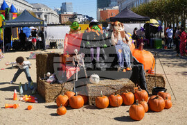 San Francisco Pumpkin Patch