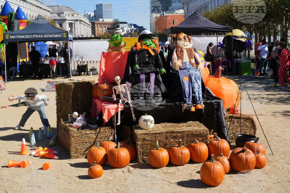 San Francisco Pumpkin Patch