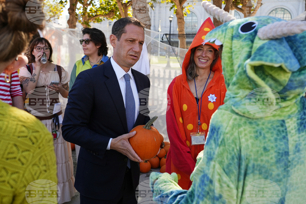 San Francisco Pumpkin Patch