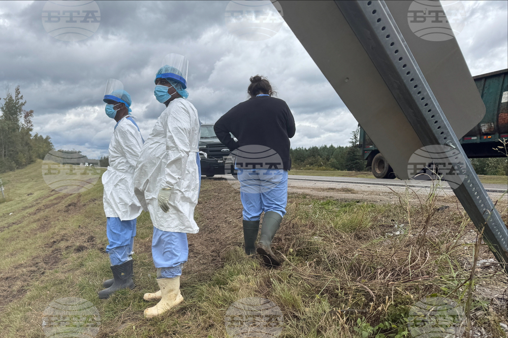 Mississippi Monkey Escape