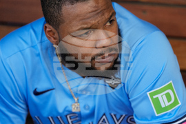 World Series Blue Jays Dodgers Baseball